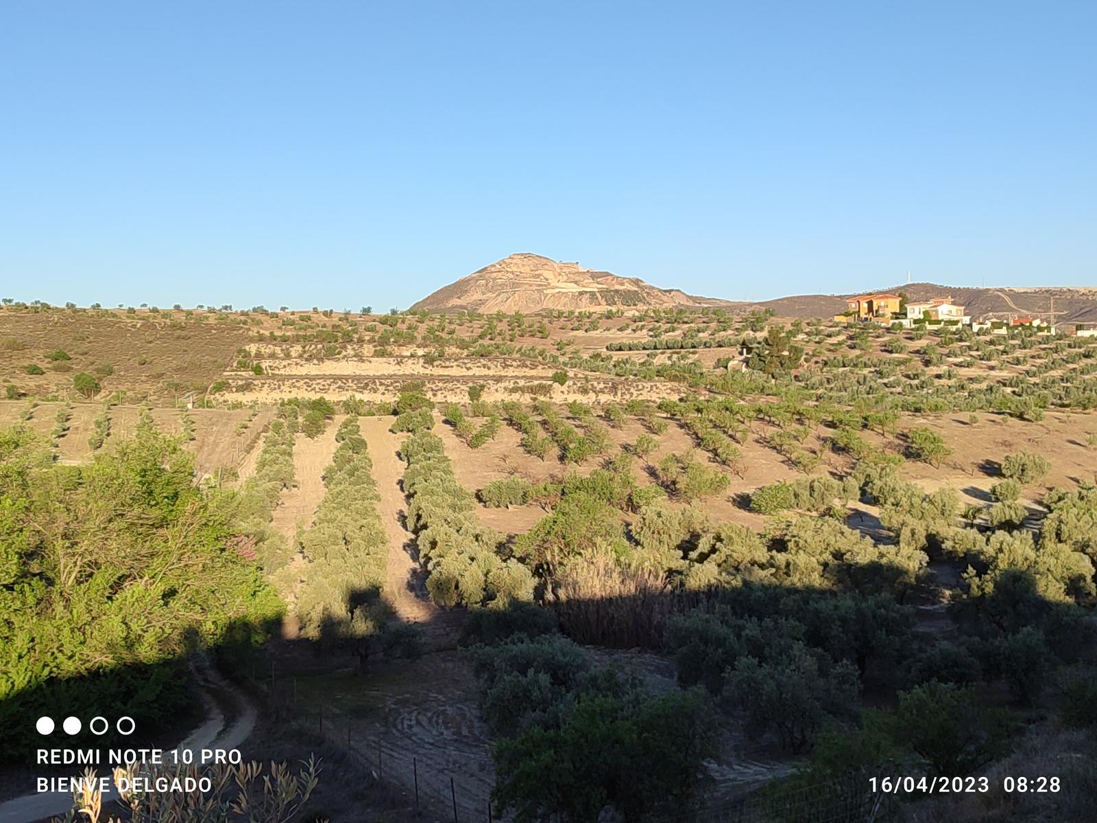 Ruta Miradores de Alhendín