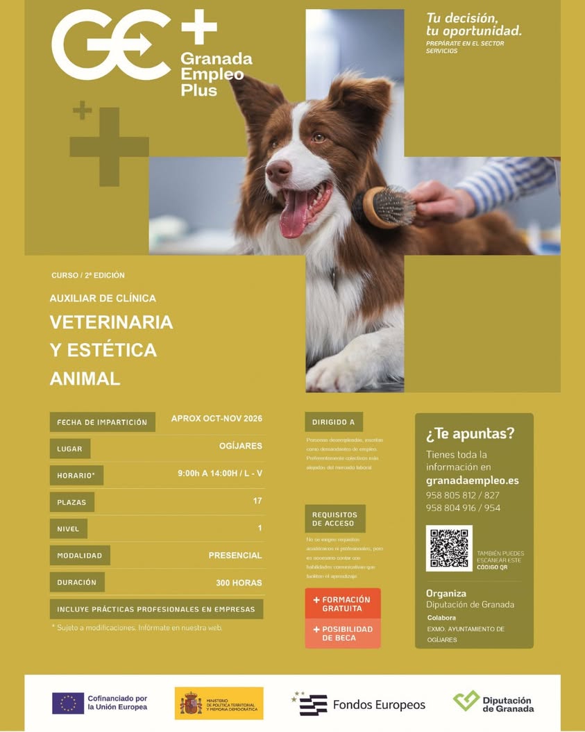 Curso gratuito de Auxiliar de Clínica Veterinaria y Estética Animal